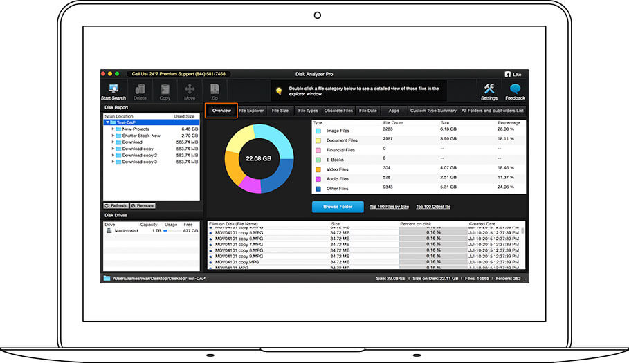 Disk Report and Overview